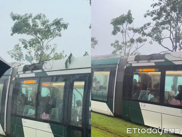 ▲高雄輕軌列車遭路樹砸中。（圖／翻攝自Threads／gina___0112授權提供）