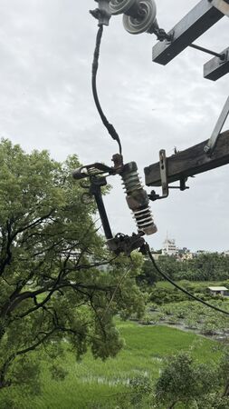 ▲田中鎮路樹倒壓電線造成停電。（圖／台電提供）