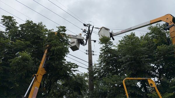 ▲田中鎮路樹倒壓電線造成停電。（圖／台電提供）