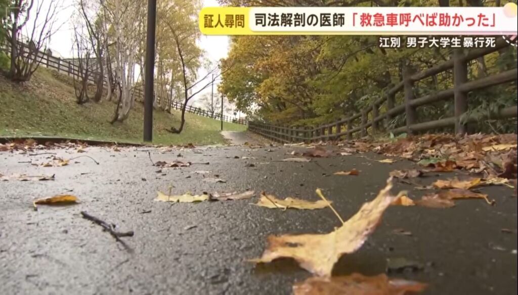 ▲▼20歲男大生長谷知哉慘遭女友與閨蜜、少年等一行人施暴並點燃陰毛，慘死北海道江別市某座公園。（圖／翻攝自YouTube）