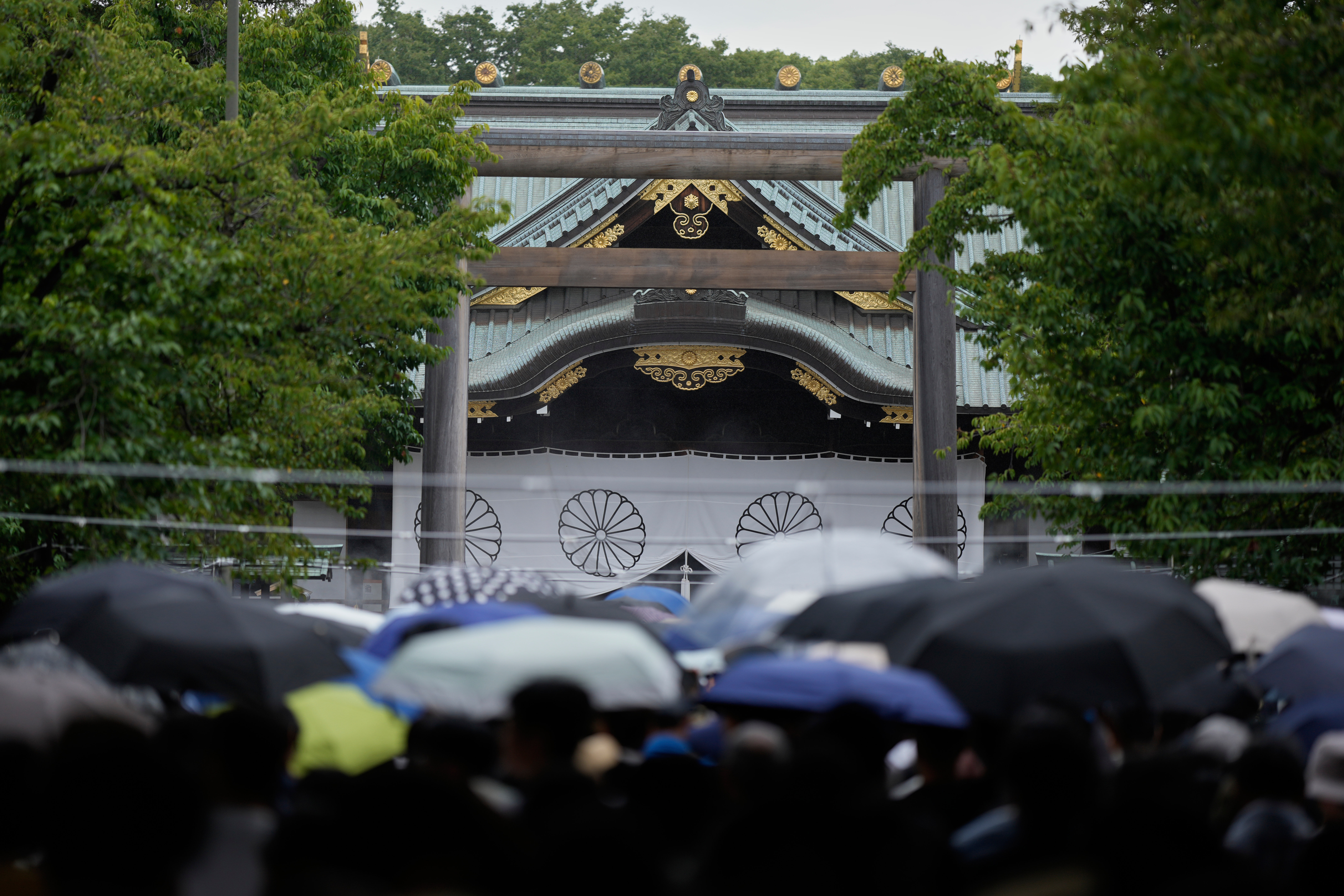 ▲▼日本防衛大臣小泉進次郎8月15日終戰之日前往靖國神社參拜。（圖／達志影像／美聯社）