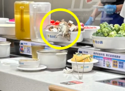 ▲天降老鼠。（圖／翻攝自微博）