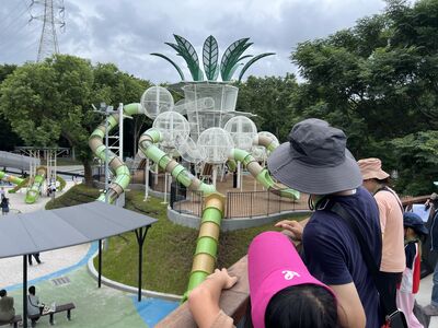 全台最多34道溜滑梯在台中　「谷溜遊戲場」必玩28米滾輪滑道