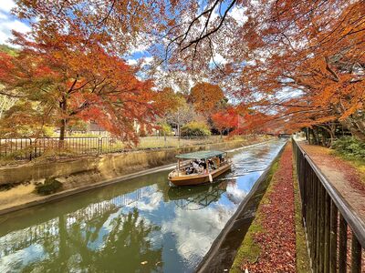 京都最美水上賞楓視角!搭琵琶湖疏水船看紅葉 今起開放預約