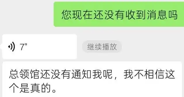 ▲文文的姊姊表示，尚未接獲官方的聯繫。（圖／翻攝自極目新聞）