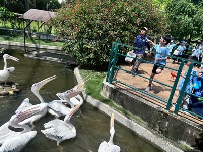 南投「九九峰動物樂園」9/9壽星免費玩 9月整月全民享優惠