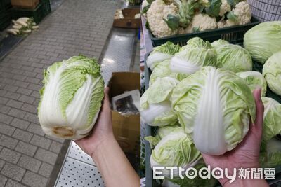 怕買到甲醛毒白菜!菜販曝「台式白菜滷」很安全 1小菜風險更高