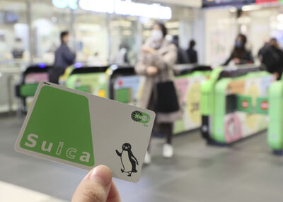 25年經典西瓜卡要喊掰掰了！Suica「正式下班」　實體卡完售就絕版