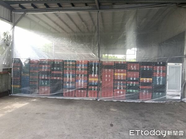 ▲▼花蓮縣政府將啟動文旦柚33家外銷包裝場評鑑，邀集國立宜蘭大學及專家學者組成評鑑小組，前往各包裝場現場查核。（圖／花蓮縣政府提供，下同）