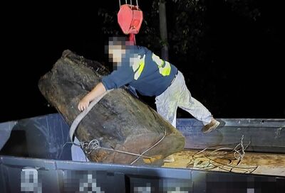 颱風過後山區狂撿13萬珍貴肖楠!保七警眼尖攔截 3山老鼠慘了