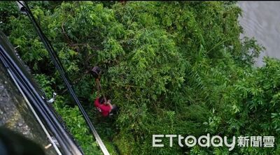 情侶遊台東包包被搶丟下溪谷...警民協力尋回　台灣獼猴幹的