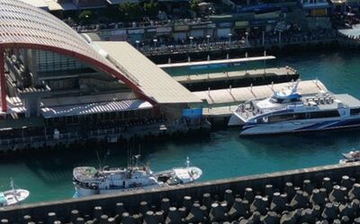 東琉線風浪大!年輕女下船蹲岸邊狂吐竟落海…黑衣男秒跳水救人