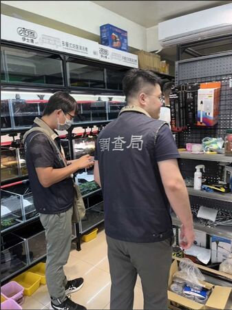 ▲▼法務部調查局聯手財政部關務署、農業部動植物防疫檢疫署，執行打擊跨境走私專案，查扣物琳瑯滿目，竟藏有保育類印度星龜等活體。（圖／調查局提供）