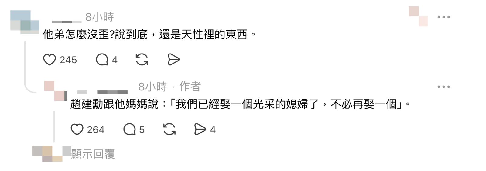 原PO回應其他網友時透露，趙建勳曾對母親說：「我們已經娶一個光采的媳婦了，不必再娶一個。」（翻攝Threads）