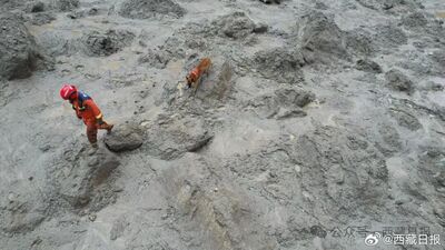 西藏土石流救援第4日！陸救難人員嘆：現場未探測到生命信號