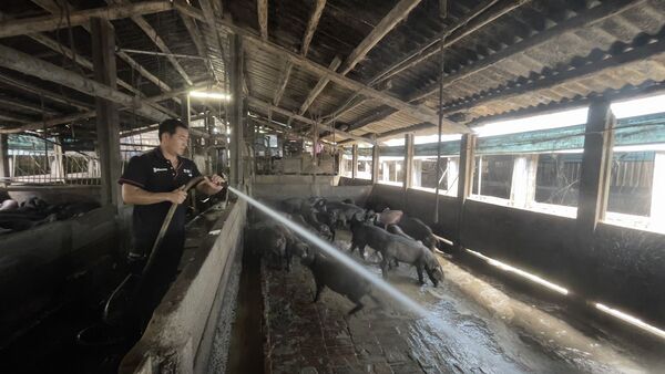 （圖／翻攝自新北市政府動物保護防疫處）