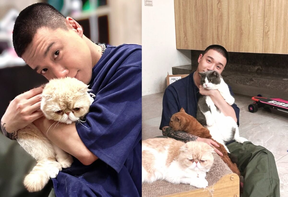 Toyz出獄了？入監2年突曬「剃頭抱貓照」 粉絲嗨喊：椅子哥回來了
