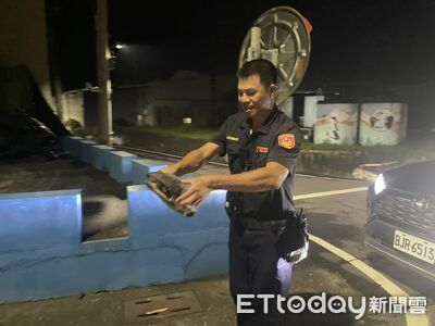 高雄30多隻斑龜趁雨集體脫逃！民眾忙通報　警網「物龜原主」