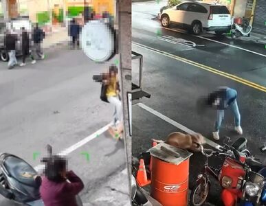 中壢車行虐狗片瘋傳!黃金獵犬遭牽繩暴打 老闆反控:惡鄰居檢舉