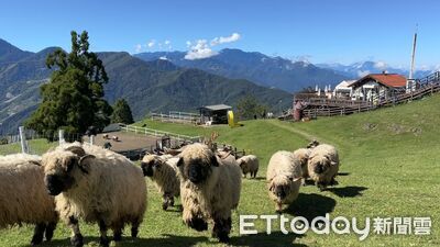 清境農場9至11月推秋季優惠　國民賓館平日下殺55折連住每晚1898起