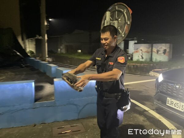 ▲▼日前民眾騎車經過在梓官區赤崁北路上時，發現有烏龜在地上爬行，警方獲報到場，沿路發現約30多隻烏龜，帶回派出所後通知飼主前來領回。（圖／記者吳世龍翻攝）