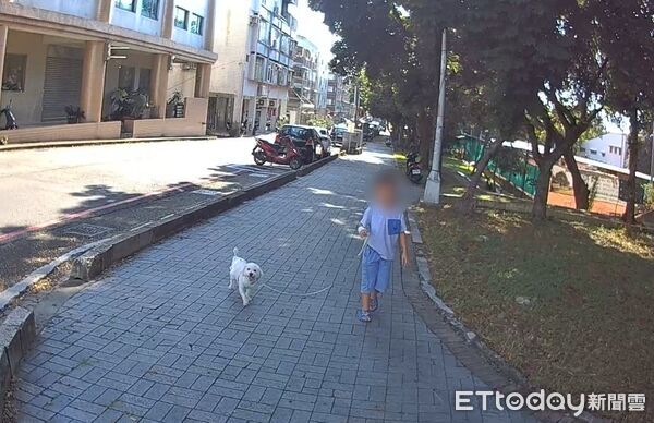▲▼台中6歲男童偷跑出門溜狗，媽媽午睡中驚醒嚇壞。（圖／民眾提供，下同）