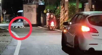 百果山驚魂!醉男「大字型」橫躺路中央 駕駛嚇喊:撞鬼了
