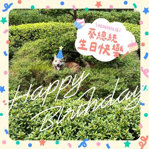 祝蔡英文生日 賴清德:謝謝為台灣打基礎!還有很多要向妳請益