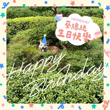 ▲▼賴清德用愛犬斑斑的電子賀卡，祝福蔡英文生日快樂。（圖／賴清德社群平台）