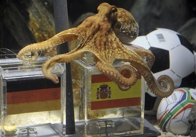 世界盃「德國章魚哥」神預測8場全中　逝世12年仍令人難忘　