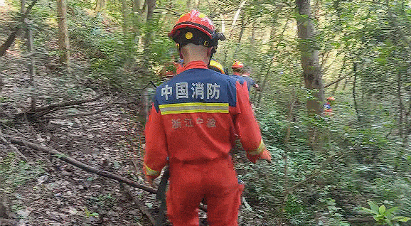 ▲楊姓男子聽信AI想抄捷徑下山,沒想到受困山中耗盡體力。(圖/翻攝都市快報)
