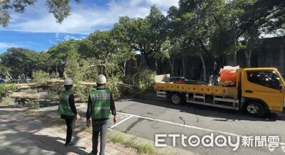 北市大直「路樹連根拔起」倒塌阻車道　警緊急調撥管制疏導