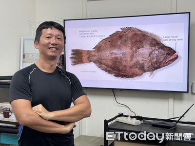 比目魚眼睛「朝左朝右」有差嗎?學者揭演化秘密 研究登國際期刊