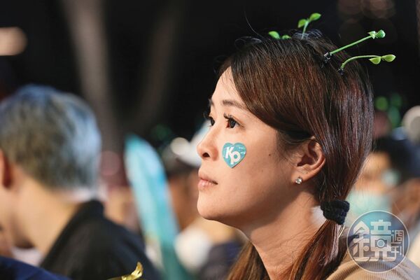 在沒白營母雞的縣市，小草投票意向牽動選情。