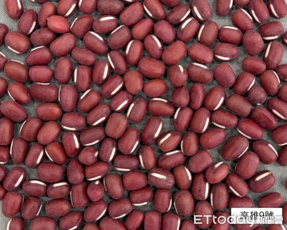 氣候變遷衝擊紅豆生產 高雄農改場籲9月底起適期播種