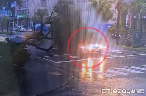 ▲▼今晨高雄市前鎮區路樹倒塌,砸中2輛汽車,差一點波及一旁的機車。(圖/記者吳世龍翻攝)