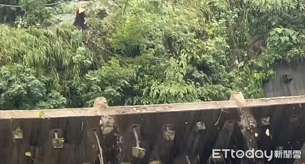 快訊／3度崩塌！高雄小港「擋土牆又倒了」...驚險畫面曝光