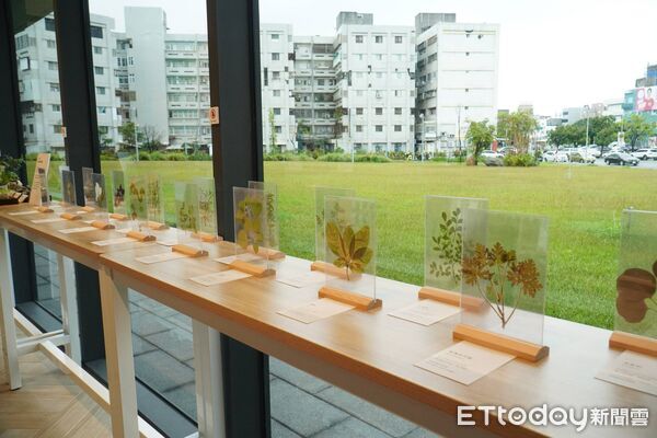 「台東香草圖書館」9月登場 香氣結合閱讀邀民眾探索生活