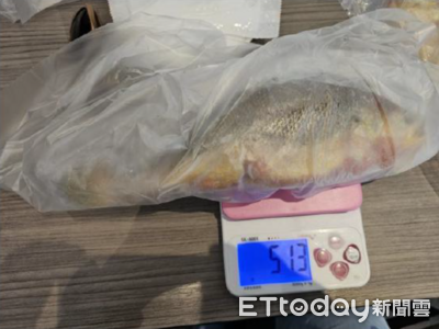 「都一處」黃魚檢出禁藥　金泰日料海膽鎘超標