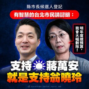 支持蔣萬安、李四川就是支持翁曉玲　綠點藍18選將：縱容護航要負責