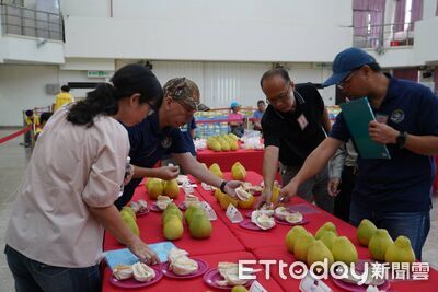 甜度、口感、外觀全都拚!斗六文旦評鑑21名果農脫穎而出