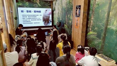 新北有課UKO推34堂免費課程 AI實戰、職涯探索一次學
