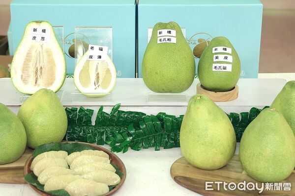 ▲▼ 黃偉哲上東森農場賣麻豆文旦        。（圖／記者徐文彬攝）
