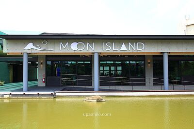 腳下是大型滯洪池！桃園清水模餐廳坐落生態公園　毛孩也能同行