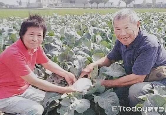 ▲74歲花椰菜冠軍中風拚復健，AI遊戲助攻盼重返農田。（圖／竹山東華醫院提供）
