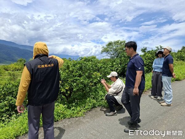 ▲▼花蓮縣府邀集農業相關單位進行現地勘查，災情獲證實。（圖／花蓮縣政府提供，下同）