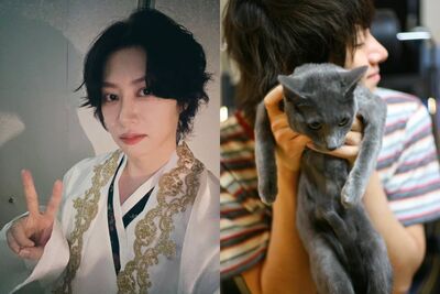 SJ希澈痛失20歲愛貓！　「原不想公開」揭PO文理由：寧願是壞主人