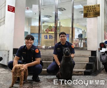 紅貴賓雨夜失蹤主人急報案　旗津所犬「黑醬」神助攻尋回