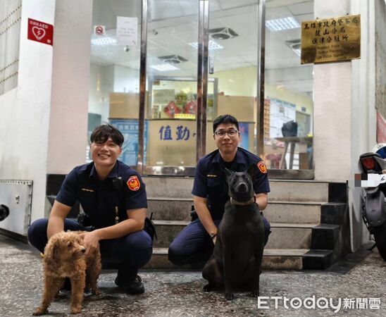 ▲▼在大雨中走失的紅貴賓（左），被派出所飼養的警犬「黑醬」（右）發現順利尋回。（圖／記者吳世龍翻攝）