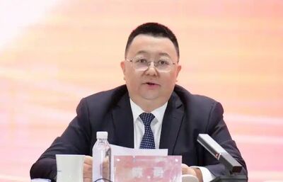 上任不到1年就落馬 陸中建集團副總經理陳勇遭查